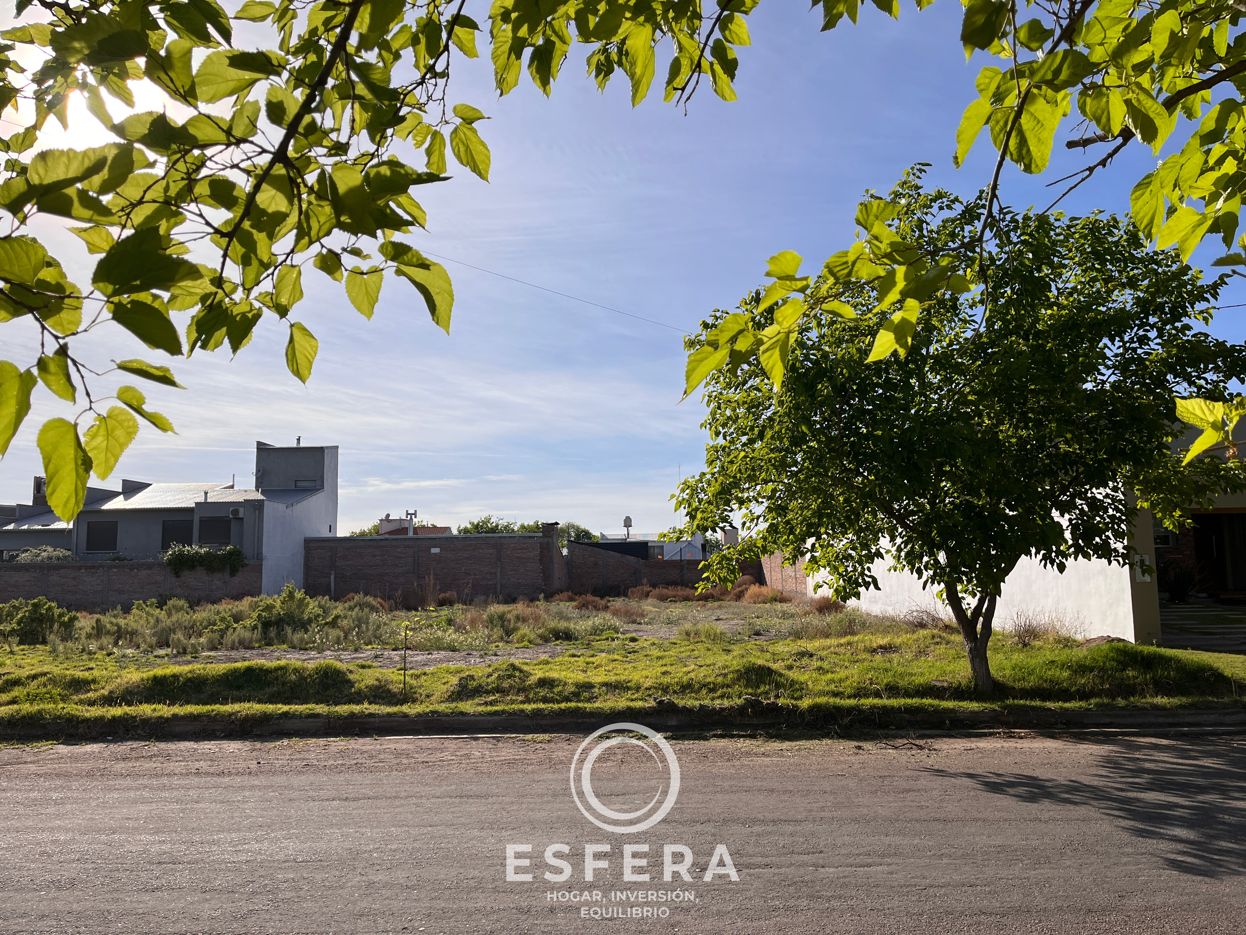 Venta Lote Olivos del Fundador